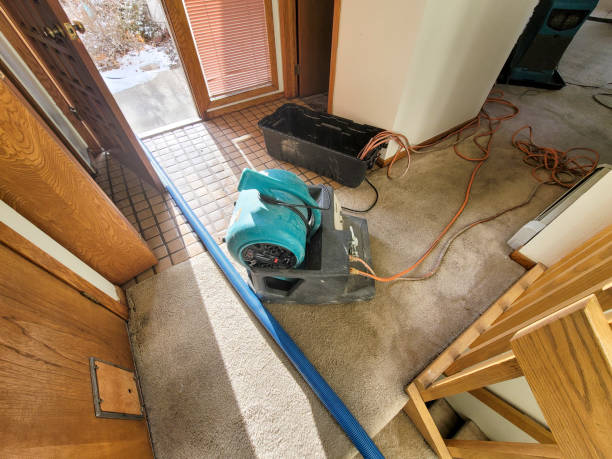 Best 24/7 water damage repair  in Wayzata, MN