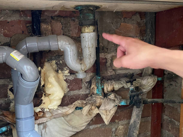 Best Residential water damage restoration  in Wayzata, MN